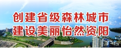 抠逼色创建省级森林城市 建设美丽怡然资阳